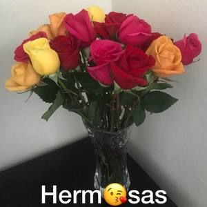 Meet your Posher, Blanka